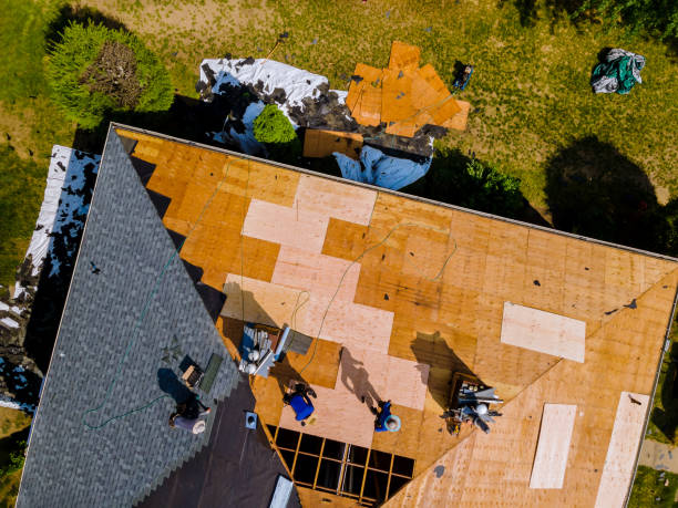 Best Storm Damage Roof Repair  in Lansdowne, MD